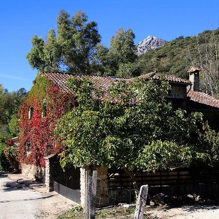 Molino Rodete Guest House Jimera de Líbar Exterior photo